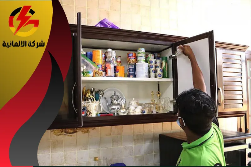 ما هي خدمات شركة مكافحة حشرات بأبو عريش؟