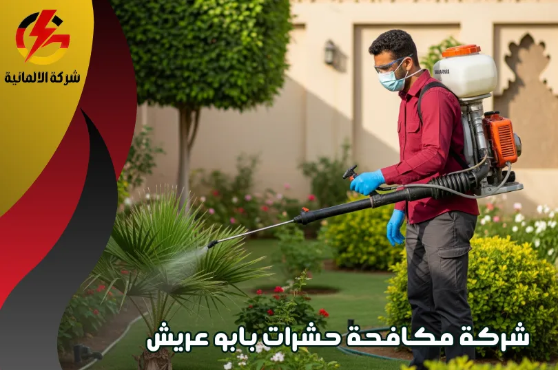 شركة مكافحة حشرات بابو عريش