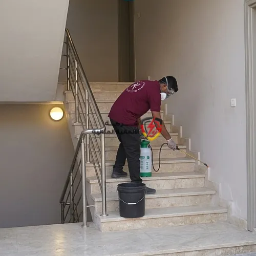 افضل شركة مكافحة حشرات