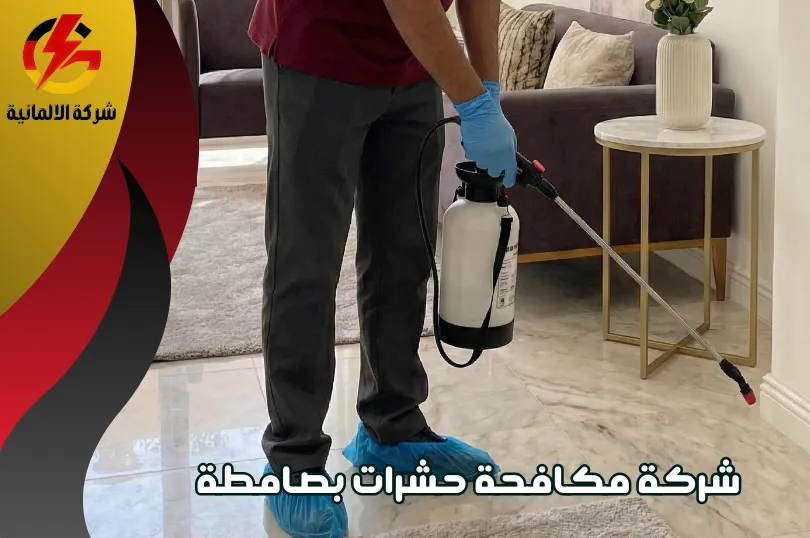 شركات مكافحة حشرات بصامطة