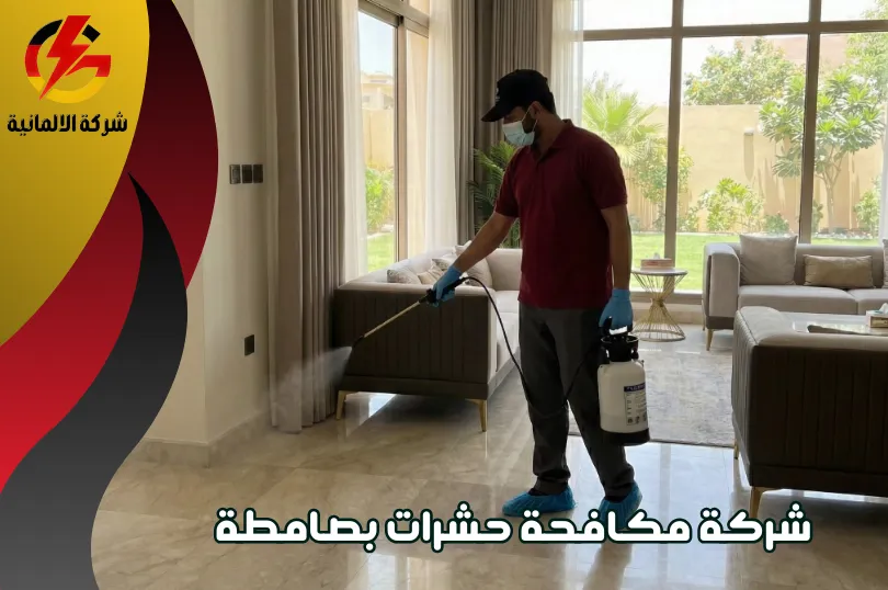شركة مكافحة حشرات بصامطة