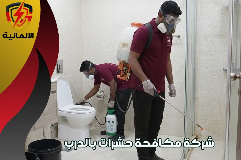مكافحة حشرات بالدرب