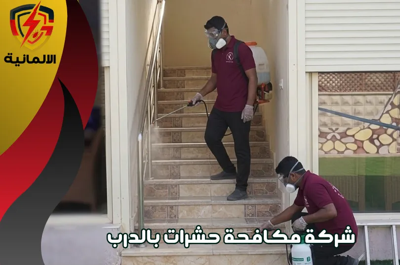 افضل شركة مكافحة حشرات بالدرب