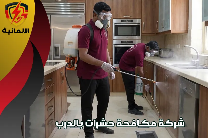اسعار شركة رش مبيدات بالدرب وعقود المكافحة الدورية