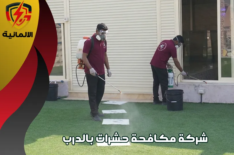شركة مكافحة حشرات بالدرب